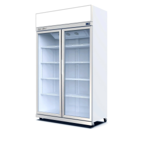 Tủ Đông 2 Cánh Kính TurboGold TG-2DF-G